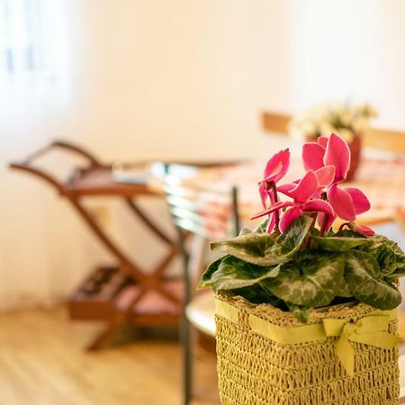 Apartments Mirjana Pula Luaran gambar